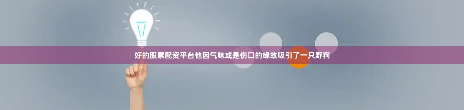 好的股票配资平台他因气味或是伤口的缘故吸引了一只野狗